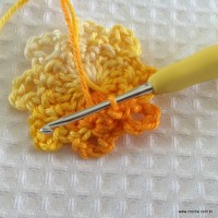 Flor carisma passo a passo (13)