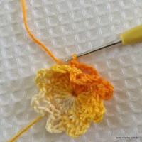 Flor carisma passo a passo (14)