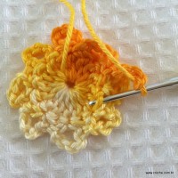 Flor carisma passo a passo (17)