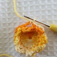 Flor carisma passo a passo (19)