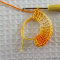 Flor carisma passo a passo (2)