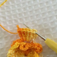 Flor carisma passo a passo (21)