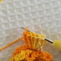 Flor carisma passo a passo (22)