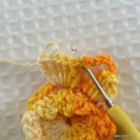 Flor carisma passo a passo (27)