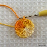 Flor carisma passo a passo (3)