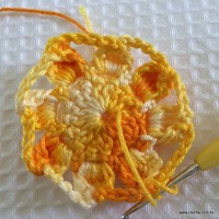 Flor carisma passo a passo (31)