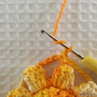 Flor carisma passo a passo (38)