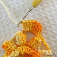 Flor carisma passo a passo (39)