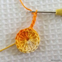 Flor carisma passo a passo (4)