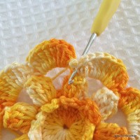 Flor carisma passo a passo (46)