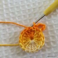 Flor carisma passo a passo (5)