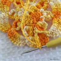 Flor carisma passo a passo (51)