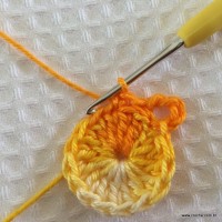 Flor carisma passo a passo (6)