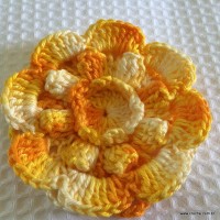 Flor carisma passo a passo (63)