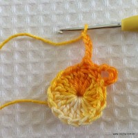 Flor carisma passo a passo (7)