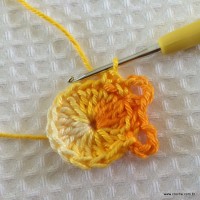 Flor carisma passo a passo (8)