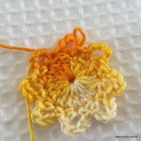 Flor carisma passo a passo (9)