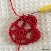 Sequ&ecirc;ncia de p&eacute;talas na flor rasteirinha