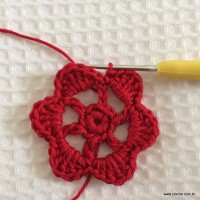 Primeira camada de p&eacute;talas completa