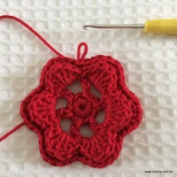 Flor rasteirinha vista de frente com duas camadas