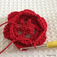 Visualiza&ccedil;&atilde;o das al&ccedil;as no avesso da flor