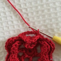 In&iacute;cio da terceira camada de p&eacute;talas