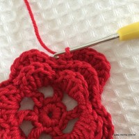 Progresso da terceira camada de p&eacute;talas