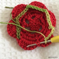 Fazendo al&ccedil;as verdes ao redor da flor