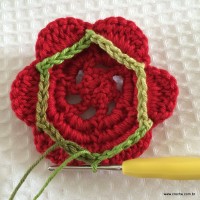 Base de al&ccedil;as verdes finalizada