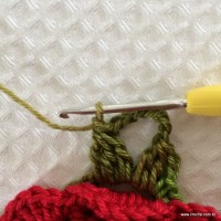 Detalhe do motivo verde