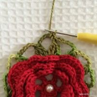 Iniciando a &uacute;ltima carreira de acabamento verde