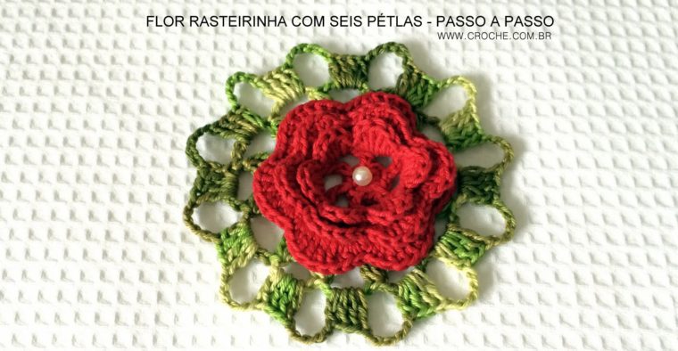 Flor rasteirinha com seis pétalas passo a passo