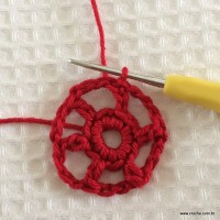 Flor rasteirinha com 6 pétalas passo a passo (13)