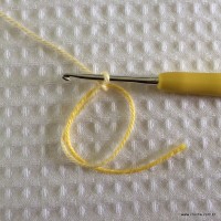 Flor rasteirinha passo a passo (1)