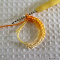 Flor rasteirinha passo a passo (2)