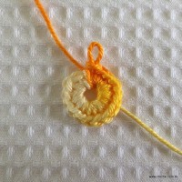 Flor rasteirinha passo a passo (3)