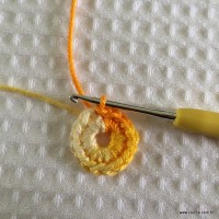 Flor rasteirinha passo a passo (4)