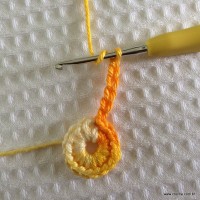 Flor rasteirinha passo a passo (5)