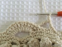 Tapete russo passo a passo (208)