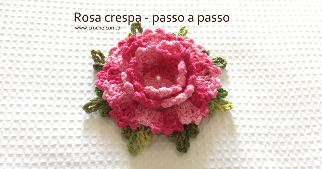 Rosa crespa