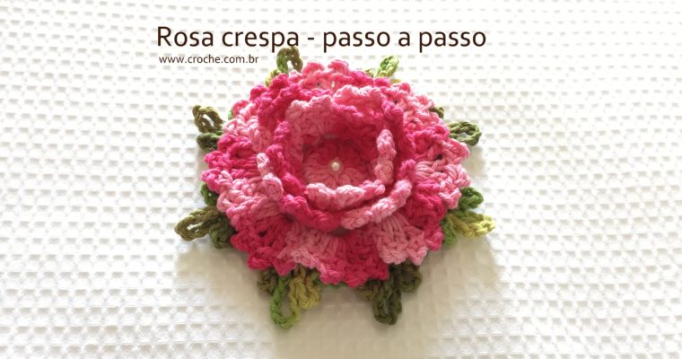 Rosa crespa