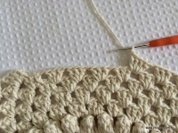 Tapete oval 2 - modelo Russo - passo a passo (141)