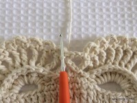 Tapete oval 2 - modelo Russo - passo a passo (209)