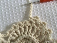 Tapete oval 2 - modelo Russo - passo a passo (216)