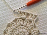 Tapete oval 2 - modelo Russo - passo a passo (45)