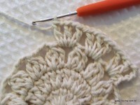 Tapete oval 2 - modelo Russo - passo a passo (46)