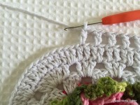 Tapete catavento passo a passo (115)