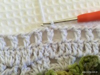 Tapete catavento passo a passo (134)