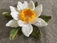 Flor de lotus passo a passo (100)