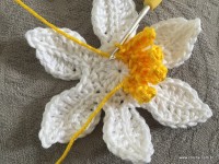 Flor de lotus passo a passo (1)